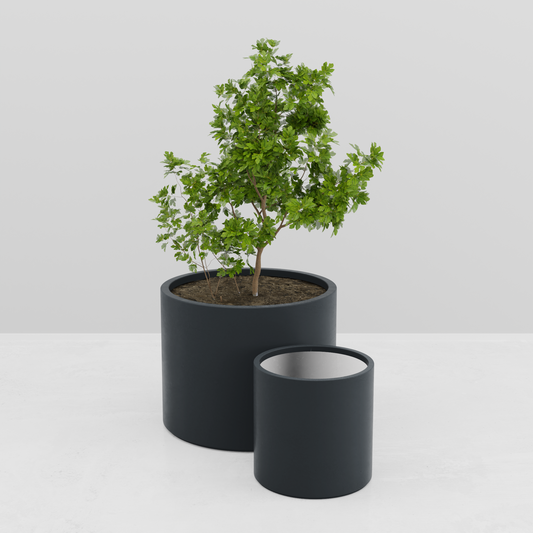 TALOS tray - classic