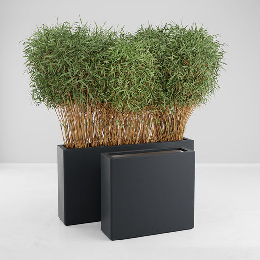 HELIOS tray - classic